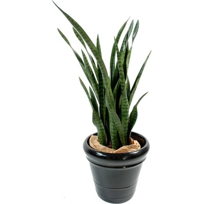 Umelá kvetina Sansevieria deluxe v kvetináči, zelená 110cm