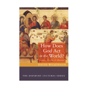 How Does God Act in the World? (ISBN: 9798385208814)
