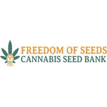 Freedom Of Seeds Blue Angel regular semena neobsahují THC 5 ks