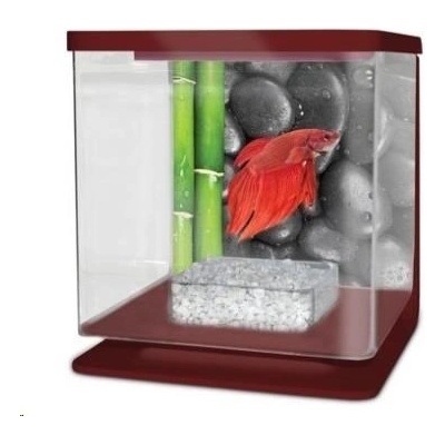 Cat-Gato Betarium Betta kit stones 2 l