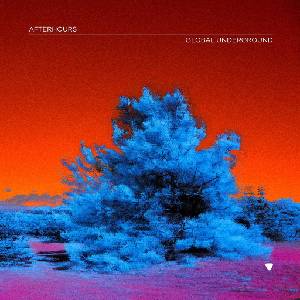 Warner Various: Global Underground: Global Underground: Afterhours 9 - 2CD (054702)