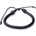 Nefertitis NF28685