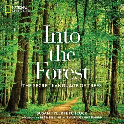 Into the Forest | Susan Hitchcock