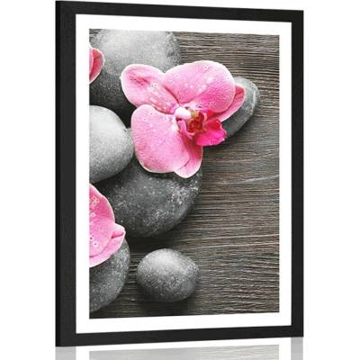 Plakát s paspartou elegantní kompozice s květinami orchideje - 40x60 silver