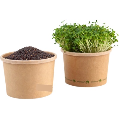 TINY GREENS Pak Choi - BIO semienka na klíčenie a microgreens