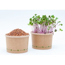 Tiny Greens Ředkvička China Rose - BIO semínka na klíčení a microgreens Množství: 50g