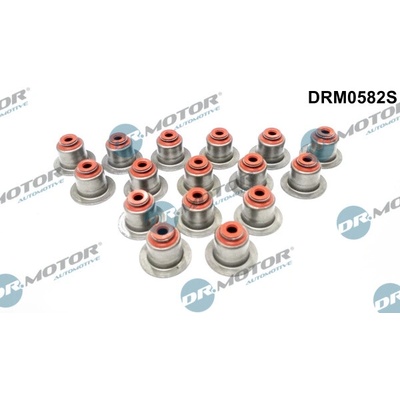 DR.MOTOR AUTOMOTIVE Sada tesnení drieku ventilu DRM0582S