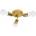 Toolight APP704-3C