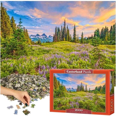 Castorland Blossom of Morning 2000 dielov