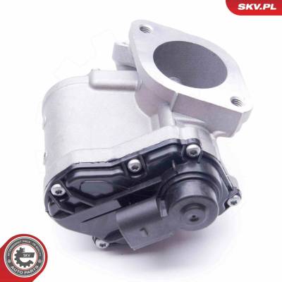 AGR - Ventil ESEN SKV 14SKV168