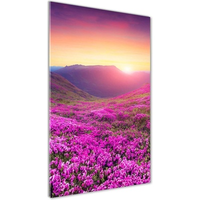 Vertikálny foto obraz sklenený Hory rododendrom 50x100 cm