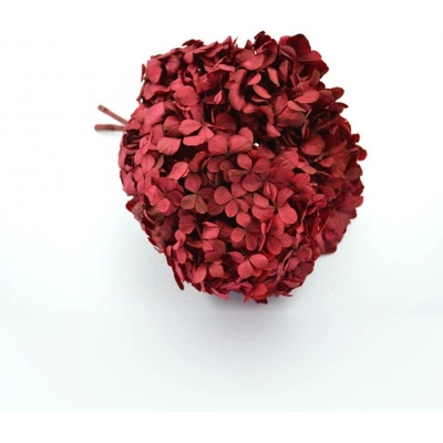 Hortenzie standard (Hortensias)