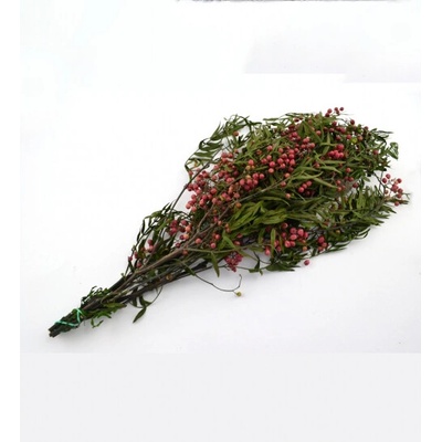 Stabilizovaná rastlina Pepertree 55 cm (10pcs)