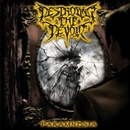 Destroying The Devoid - Paramnesia CD