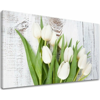 Obraz na stěnu KVĚTY TULIPÁNY - 80x120 cm