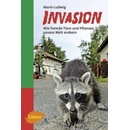 Invasion