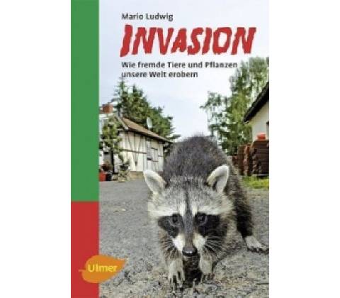 Invasion