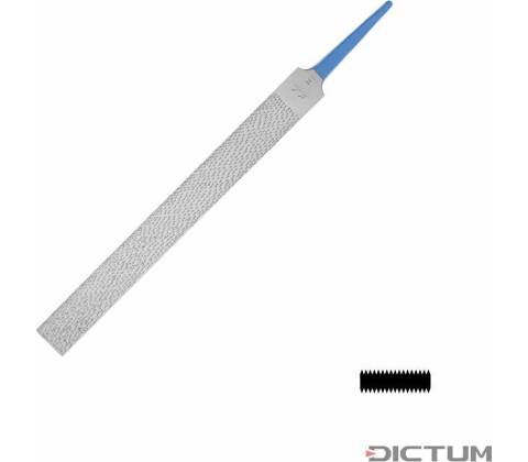 Dictum 704704