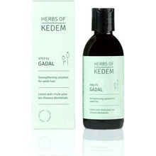 Herbs of Kedem Sérum na padání vlasů Gadal 250ml