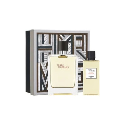 Hermès Terre D'Hermes Подаръчен комплект, Тоалетна вода 100ml + Душ гел 80ml, мъже