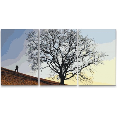 Painting Queens Painting Queens Stromeček přání sada 3 ks 40 x 60 cm na rámu PBNSET/03WISHTREE2/40 x 60_40 x 60_40 x 60/W – Sleviste.cz