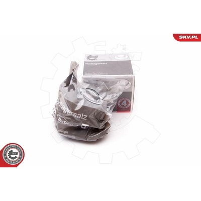 Sada ložiska kola ESEN SKV 29SKV188