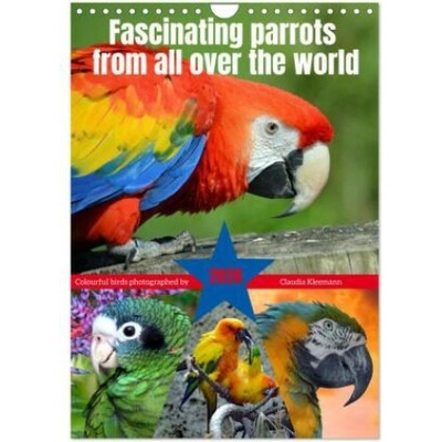Fascinating parrots from all over the world Wall DIN A4 portrait, CALVENDO 12 Month Wall 2026
