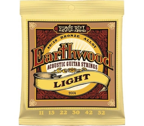 Ernie Ball 2004