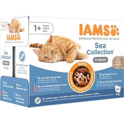 Iams Delights Adult Sea Mix v omáčke 24 x 85 g