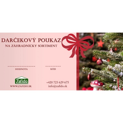 Zafido Vianočný poukaz v hodnote 200 €
