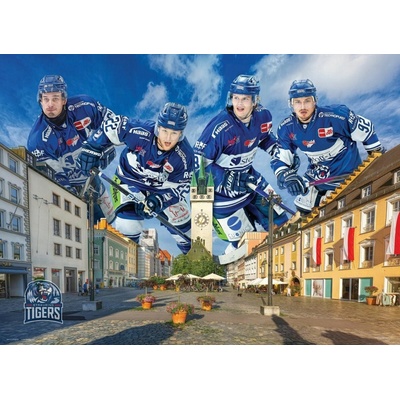 EUROGRAPHICS Straubing Tigers 1000 dielov