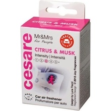 Mr & Mrs Fragrance Cesare Citrus & Musk