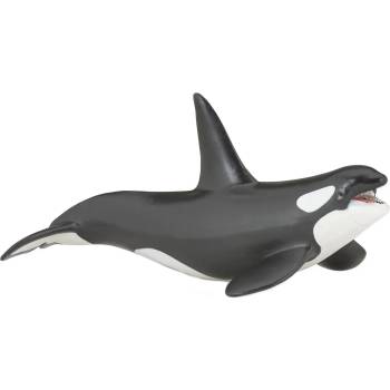 Image 1 of Papo Фигурка Papo Marine Life - Косатка (56000)