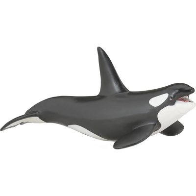 Papo Фигурка Papo Marine Life - Косатка (56000)