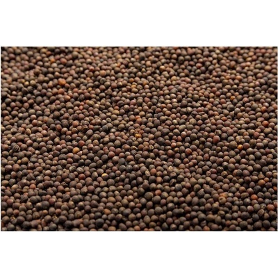 Microgreens Červená kapusta na mikrozeleninu 50 g