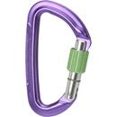 Wild Country Session Screw Gate