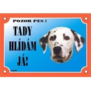 Dafiko Tabulka dalmatin