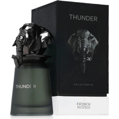French Avenue Thunder parfumovaná voda pánska 100 ml