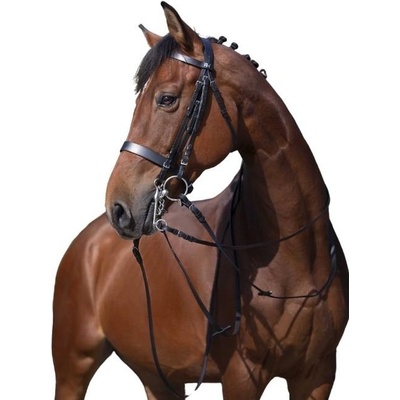 RIDING Uzda WORLD černá