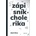 Zápisník cholerika
