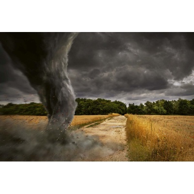 DIMEX ART Флизелинов фототапет голямо торнадо 375 x 250 см