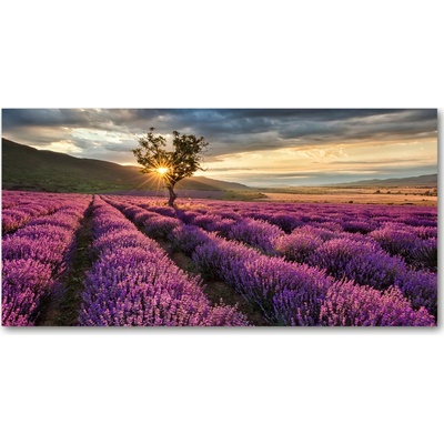 Fotoobraz na skle pole levanduľa 100x50 cm