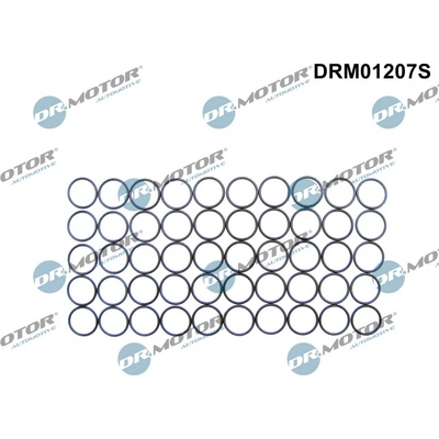 Dr.Motor Automotive Těsnicí kroužek, držák trysky DRM01207S