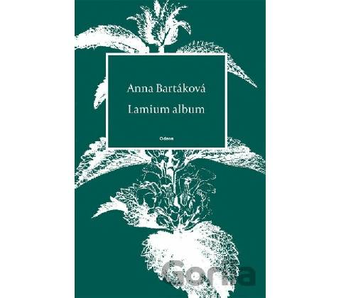 Lamium album