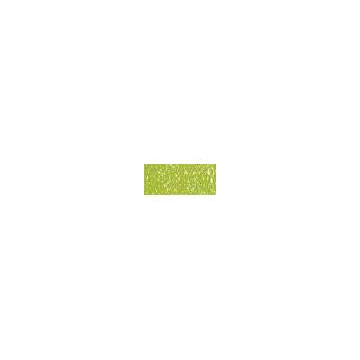 Sennelier suchý pastel 203 leaf green