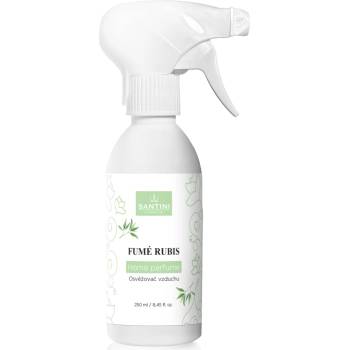 Santini Osviežovač vzduchu Fumé Rubis 250 ml