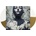 CONVERGE - JANE LIVE LTD. LP