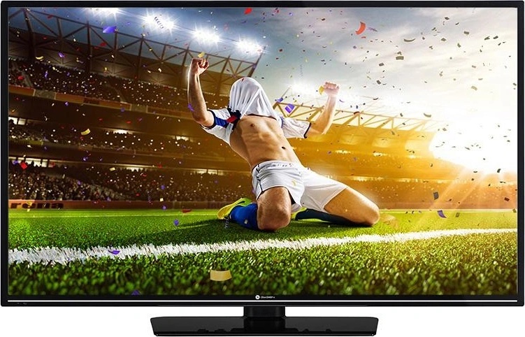 GoGEN TVF 40R25 FE