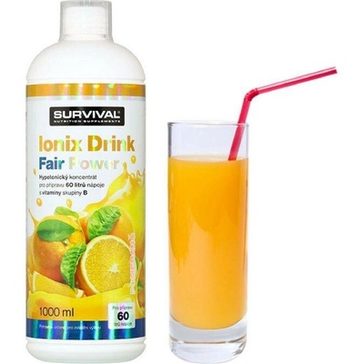 Survival Ionix Drink Fair Power® Hypotonický Nápoj ananas-mango| 1000 ml – Hledejceny.cz