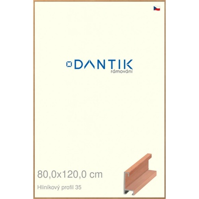 DANTIK rám na obraz 80 x 120 Dýha třešeň